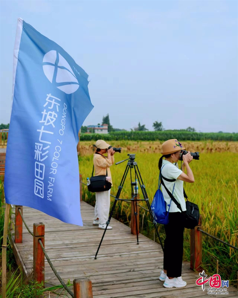 拓展教学空间 丰富社会实践——“眉山市老年大学影视书画创作基地在东坡区三宝村七彩田园”挂牌(图2)